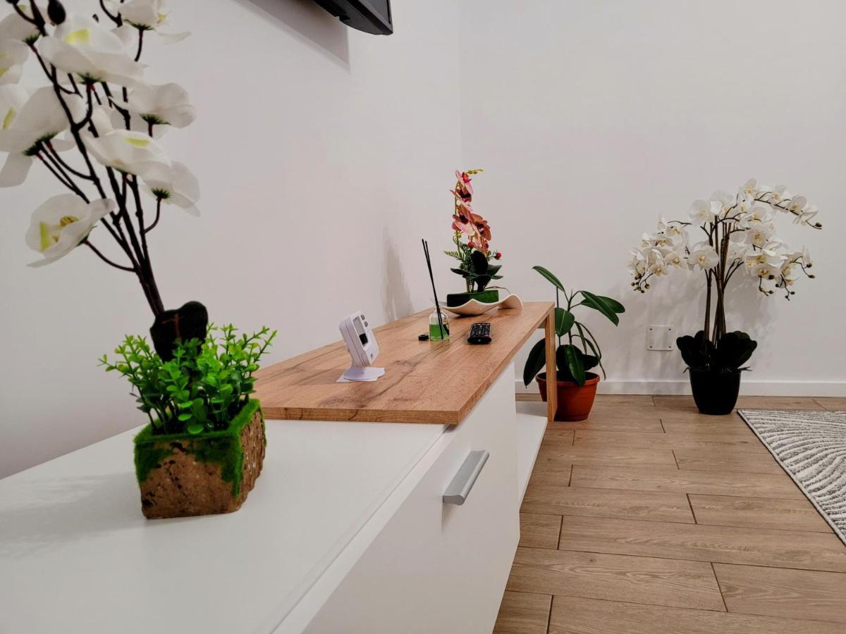 דירות בראשוב Casa Feli מראה חיצוני תמונה